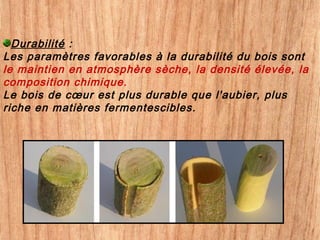 Durabilité :
Les paramètres favorables à la durabilité du bois sont
le maintien en atmosphère sèche, la densité élevée, la
composition chimique.
Le bois de cœur est plus durable que l'aubier, plus
riche en matières fermentescibles.
 