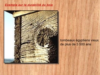 tombeaux égyptiens vieux
de plus de 3 500 ans
Exemple sur la durabilité du bois
 