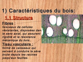 1) Caractéristiques du bois:1) Caractéristiques du bois:
Fibres :
faisceaux de cellules
résistantes, disposées dans
le sens axial, qui assurent la
rigidité et la résistance
mécanique du bois..
Tissu vasculaire :
formé de vaisseaux qui
servent à conduire la sève
brute depuis les racines
jusqu'aux feuilles.
.
1.1 Structure1.1 Structure
 