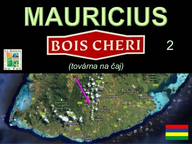 (továrna na čaj)
2
 