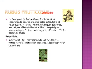 Comestible

   Le Bourgeon de Ronce (Rubu fructicosus) est
    recommandé pour le système ostéo-articulaire et
    respiratoire. - Tanins - Acides organiques (citrique,
    isocitrique) -Flavonoïdes et acides triterpéniques
    pentacycliques Fruits : - Anthocyanes - Pectine - Vit C -
    Acides de fruits
Propriétés
   Astringent - Anti diarrhéique du fait des tanins -
    Antibactérien - Protecteur capillaire, vasoconstricteur -
    Cicatrisant
 