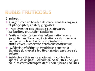 Diarrhées
 Gargarismes de feuilles de ronce dans les angines
  et pharyngites, aphtes, gingivites
 - Nettoyage et cicatrisation des blessures -
  Varicosités, protection capillaire –
 Fruits à maturité dans les inflammations de la
  gorge Gemmothérapie, indications spécifiques du
  bourgeon : - Insuffisances respiratoires
  obstructives - Bronchite chronique obstructive
 Médecine vétérinaire empirique : contre la
  diarrhée du cheval : feuilles hachées dans l'eau de
  boisson
 Médecine vétérinaire ancienne : - contre les
  aphtes, les angines : décoction de feuilles - collyre
  pour les corps étrangers dans l'oeil : jeunes pousses
 
