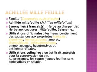  Famille:(Composées ou Astéracées)
 Achillée millefeuille (Achillea millefolium)
 Synonyme(s) français(s) : Herbe au charpentier,
  Herbe aux coupures, Millefeuille, Saigne-nez
 Utilisations officinales : les fleurs contiennent
  des substances aux propriétés toniques,
  digestives, hémostatiques, amères,
  stomachiques, antispasmodiques,
  emménagogues, hypotensives et
  antihémorroïdales.
 Utilisations culinaires : on l'utilisait autrefois
  pour la conservation du vin.
  Au printemps, les toutes jeunes feuilles sont
  comestibles en salade.
 