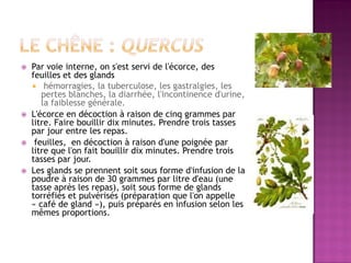    Par voie interne, on s'est servi de l'écorce, des
    feuilles et des glands
     hémorragies, la tuberculose, les gastralgies, les
       pertes blanches, la diarrhée, l'incontinence d'urine,
       la faiblesse générale.
   L'écorce en décoction à raison de cinq grammes par
    litre. Faire bouillir dix minutes. Prendre trois tasses
    par jour entre les repas.
    feuilles, en décoction à raison d'une poignée par
    litre que l'on fait bouillir dix minutes. Prendre trois
    tasses par jour.
   Les glands se prennent soit sous forme d'infusion de la
    poudre à raison de 30 grammes par litre d'eau (une
    tasse après les repas), soit sous forme de glands
    torréfiés et pulvérisés (préparation que l'on appelle
    « café de gland »), puis préparés en infusion selon les
    mêmes proportions.
 