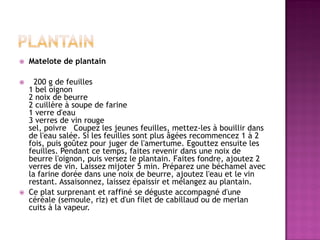    Matelote de plantain

     200 g de feuilles
    1 bel oignon
    2 noix de beurre
    2 cuillère à soupe de farine
    1 verre d'eau
    3 verres de vin rouge
    sel, poivre Coupez les jeunes feuilles, mettez-les à bouillir dans
    de l'eau salée. Si les feuilles sont plus âgées recommencez 1 à 2
    fois, puis goûtez pour juger de l'amertume. Egouttez ensuite les
    feuilles. Pendant ce temps, faites revenir dans une noix de
    beurre l'oignon, puis versez le plantain. Faites fondre, ajoutez 2
    verres de vin. Laissez mijoter 5 min. Préparez une béchamel avec
    la farine dorée dans une noix de beurre, ajoutez l'eau et le vin
    restant. Assaisonnez, laissez épaissir et mélangez au plantain.
   Ce plat surprenant et raffiné se déguste accompagné d'une
    céréale (semoule, riz) et d'un filet de cabillaud ou de merlan
    cuits à la vapeur.
 