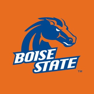 Boise state t shirt