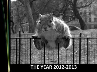 THE YEAR 2012-2013
 