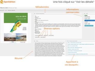 Une fois cliqué sur “Voir les détails”
Informations
commerciales
Métadonnées
Résumé
Diverses options
Appartient à
ces bouquets :
 