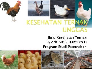 Ilmu Kesehatan Ternak
By drh. Siti Susanti Ph.D
Program Studi Peternakan
 