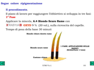 Il procedimento . Il piano di lavoro per raggiungere l’obbiettivo si sviluppa in tre fasi: 1ª Fase   Applicare la miscela,  6.4 Biondo Scuro Rame  con OXYD  9 %  (30 vol.), sulla ricrescita del capello.  Tempo di posa della base 30 minuti Segue  colore  ripigmentazione Biondo chiaro dorato rame Biondo scuro rame Castano chiaro 1 FASE: APPLICAZIONE SULLE RADICI (Schiaritura 1 tono) 