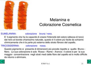 Melanina e  Colorazione Cosmetica EUMELANINA:  colorazione  bruna / nera. E’ il pigmento che ha la capacità di creare l'intensità del colore (altezza di tono) dal nero al biondo chiarissimo naturale, questo è il colore più facile da schiarire  chimicamente che è la parte più esterna dello strato fibroso del capello. TRICOSIDERINA:  colorazione  rossa. Questo pigmento si  presenta di dimensioni più piccole rispetto a  quello  Bruno - Nero.  La sua colorazione è solo  Rosso - Rame - Arancio  il colore è per  la sua maggior  concentrazione  negli strati medi delle fibre del capello ed è molto difficile da ridurre o eliminare. 