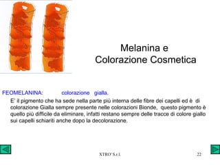 Melanina e  Colorazione Cosmetica FEOMELANINA:  colorazione  gialla. E’ il pigmento che ha sede nella parte più interna delle fibre dei capelli ed è  di  colorazione Gialla sempre presente nelle colorazioni Bionde,  questo pigmento è quello più difficile da eliminare, infatti restano sempre delle tracce di colore giallo sui capelli schiariti anche dopo la decolorazione. 
