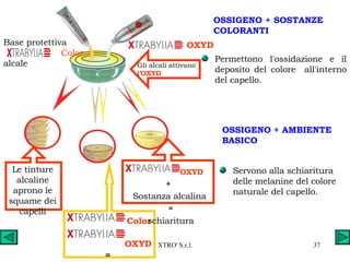 OSSIGENO + SOSTANZE  COLORANTI Permettono l'ossidazione e il deposito del colore  all'interno del capello. Le tinture alcaline aprono le squame dei capelli   Color   +  OXYD = colorazione OXYD  +  Sostanza alcalina = schiaritura Base protettiva    Color  alcale OXYD Gli alcali attivano l’ OXYD OSSIGENO + AMBIENTE BASICO Servono alla schiaritura delle melanine del colore naturale del capello. 