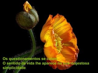 Os questionamentos se calam,
O sentido da vida lhe aparece na sua majestosa
simplicidade.
 