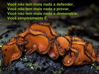 Você não tem mais nada a defender,
Você não tem mais nada a provar,
Você não tem mais nada a demonstrar,
Você simplesmente É.
 
