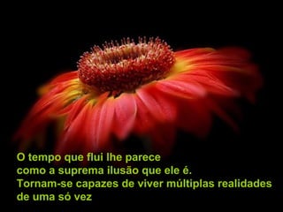O tempo que flui lhe parece
como a suprema ilusão que ele é.
Tornam-se capazes de viver múltiplas realidades
de uma só vez
 