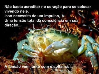 Não basta acreditar no coração para se colocar
vivendo nele.
Isso necessita de um impulso,
Uma tensão total da consciência em sua
direção...
A tensão vem junto com o soltar-se...
 