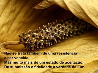 Não se trata também de uma resistência
a ser vencida,
Mas muito mais de um estado de aceitação,
De submissão e fidelidade à verdade da Luz.
 