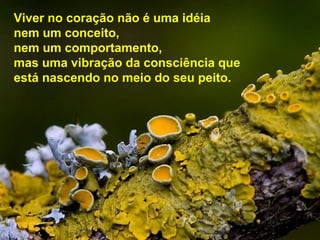 Viver no coração não é uma idéia
nem um conceito,
nem um comportamento,
mas uma vibração da consciência que
está nascendo no meio do seu peito.
 
