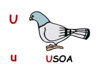 U
u USOA
 