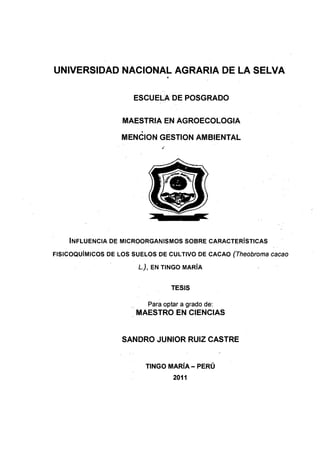 UNIVERSIDAD NACIONAL AGRARIA DE LA SELVA
. .
ESCUELA DE POSGRADO
MAESTRIA EN AGROECOLOGIA
•
MENCION GESTION AMBIENTAL
INFLUENCIA DE MICROORGANISMOS SOBRE CARACTERÍSTICAS
FISICOQUÍMICOS DE LOS SUELOS DE CULTIVO DE CACAO {Theobroma cacao
L.), EN TINGO MARÍA
TESIS
Para optar a grado de:
MAESTRO EN CIENCIAS
SANDRO JUNIOR RUIZ CASTRE
TINGO MARÍA- PERÚ
2011
 
