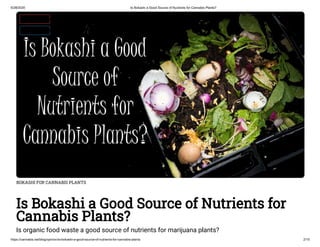 Is Bokashi a Good Fertilizer for Cannabis Plants?