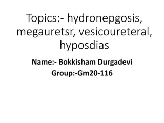 Topics:- hydronepgosis,
megauretsr, vesicoureteral,
hyposdias
Name:- Bokkisham Durgadevi
Group:-Gm20-116
 