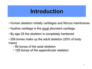1
Introduction
• Human skeleton initially cartilages and fibrous membranes
• Hyaline cartilage is the most abundant cartilage
• By age 25 the skeleton is completely hardened
• 206 bones make up the adult skeleton (20% of body
mass)
• 80 bones of the axial skeleton
• 126 bones of the appendicular skeleton
 