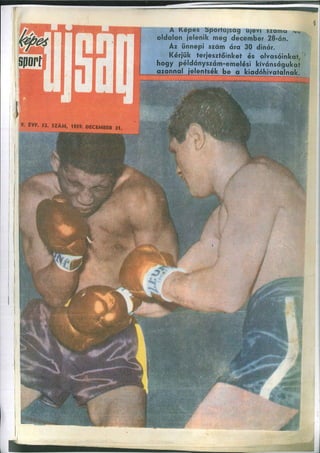 Karolj Lajko Arhiva