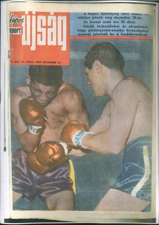 Karolj Lajko Arhiva