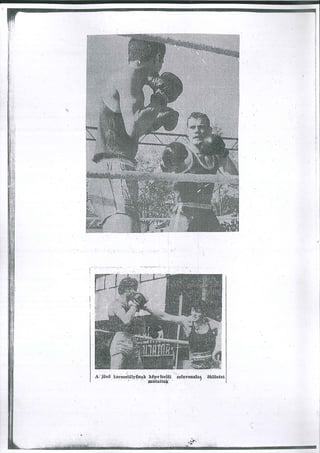 Karolj Lajko Arhiva