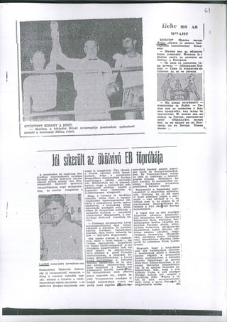 Karolj Lajko Arhiva