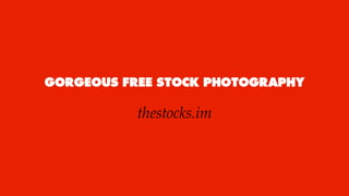 GORGEOUS FREE STOCK PHOTOGRAPHY
thestocks.im
 