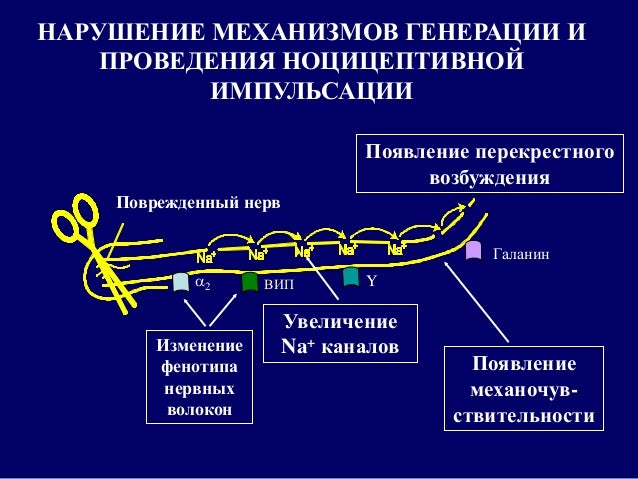 Рак кожи фото начальная стадия фото лечение народными средствами