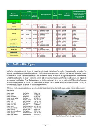 7
IV. Análisis Hidrológico
Las lluvias registradas durante el mes de marzo, han continuado manteniendo los niveles y caudales de los principales ríos
elevados; generándose crecidas intempestivas y desbordes importantes que en definitiva han afectado áreas de cultivos
situados en los cauces y en áreas cercanas a ella; así también el nivel de agua en las lagunas se han visto incrementados,
generándose situaciones de alerta y finalmente durante todo el mes el aporte de recurso hídrico ha sido sumamente importante
para elevar el nivel freático. El rio Mantaro alcanzo un nivel promedio de 2.84 m, con un máximo de 3.52 m; el rio Tulumayo
alcanzo un nivel promedio de 3.28 m y un valor máximo de 3.50 m y el rio Perene alcanzo en promedio un nivel 2.79 m y un
nivel máximo que supero los 3.70 m en la sección de monitoreo.
Del mismo modo, los valores de caudal aproximado obtenido en las diversas fuentes de agua que son monitoreadas, muestra
lo siguiente:
Puente Rojas Rio Tarma 5,280 m3/s
Puente Palca Rio Tarma 11,880 m3/s
Puente Palcabado Rio Ricran 9,240 m3/s
Puente Pan de Azúcar Rio Palca 27,473 m3/s
Puente Victoria Rio San Ramón 146,810 m3/s
Puente Vitoc Rio Tulumayo 144,692 m3/s
Puente Centenario Rio Tulumayo 292,474 m3/s
Puente San Carlos Rio Toro 23,909 m3/s
Puente Kimiri Rio Chanchamayo 401,143 m3/s
Puente Paucartambo Rio Paucartambo 165,943 m3/s
Puente Chiquito Rio Las Sales 6,600 m3/s
Puente San Luis de Shuaro Rio Taptaso 3,529 m3/s
Puente Peruvian Rio Paucartambo 176,765 m3/s
Puente Juan Velasco Rio Hualziroqui 23,517 m3/s
Foto: Rio Perene (Puente Noruega – Santa Ana)
REGIÓN AYACUCHO
Huanta
Palta Fuerte 15-feb-06 1 Maduración fin 90 Bueno Ninguno Ninguno
2 Maduración fin 100 Bueno Ninguno Ninguno
3 Maduración fin 100 Bueno Ninguno Ninguno
Huamanga
Maiz De la zona 18-oct-12 1 Maduración lechosa 90 Bueno Aporque Ninguno
2 Maduración pastosa 48 Bueno Ninguno Ninguno
3 Maduración pastosa 95 Bueno Ninguno Ninguno
Papa Yungay 25-oct-12 1 Maduración 55 Bueno Ninguno Ninguno
2 Maduración 100 Bueno Aporque Ninguno
3 Maduración 100 Bueno Ninguno Ninguno
Maiz De la zona 20-dic-12 1 18 hojas 15 Regular Ninguno Cogollero 70%
2 Panoja 30 Regular Ninguno Cogollero 70%
3 Espiga 63 Regular Ninguno Cogollero 70%
Maiz De la zona 06-dic-12 1 Espiga 100 Bueno Ninguno Ninguno
2 Maduración lechosa 10 Bueno Ninguno Ninguno
3 Maduración lechosa 40 Bueno Ninguno Ninguno
Victor Fajardo
Maiz San Geronimo 27-oct-12 1 Espiga 100 Bueno Ninguno Ninguno
2 Maduración lechosa 33 Bueno Ninguno Ninguno
3 Maduración Pastosa 83 Bueno Ninguno Ninguno
Vilcashuaman
Papa Capirona 01-dic-12 1 Floración 70 Bueno Ninguno Ninguno
2 Maduración 10 Bueno Ninguno Ninguno
3 Maduración 80 Bueno Ninguno Ninguno
VILCASHUAMAN
DEC
Fase Fenológica
%
Avance
Estado
HUANTA
QUINUA
PACAYCASA
S. P. DE CACHI
HUANCAPI
Labores
culturtales
Daños causados por
plagas, enfermedades
o por fenomenos
meteorologicos
adversos
Estación
Meteorologica
Cultivo
Nombre Variedad
Fecha de
Siembra
 