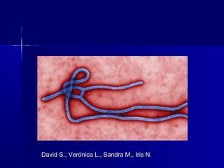 O ébolaO ébola
David S., Verónica L., Sandra M., Iris N.David S., Verónica L., Sandra M., Iris N.
 