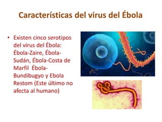 Características del virus del Ébola
• Existen cinco serotipos
del virus del Ébola:
Ébola-Zaire, Ébola-
Sudán, Ébola-Costa de
Marfil Ébola-
Bundibugyo y Ebola
Restom (Este último no
afecta al humano)
 