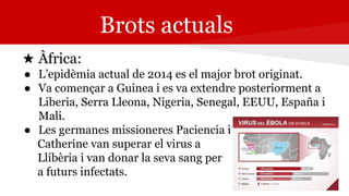 Brots actuals
★ Àfrica:
● L’epidèmia actual de 2014 es el major brot originat.
● Va començar a Guinea i es va extendre posteriorment a
Liberia, Serra Lleona, Nigeria, Senegal, EEUU, España i
Mali.
● Les germanes missioneres Paciencia i
Catherine van superar el virus a
Llibèria i van donar la seva sang per
a futurs infectats.
 