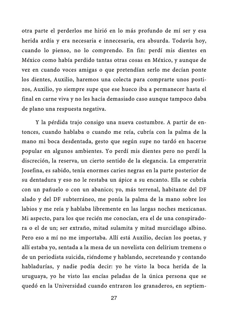 El alcoholismo a los animales de casa