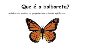 Que é a bolboreta?
●
As bolboretas son insectos que pertencen a orden dos lepidópteros.
 