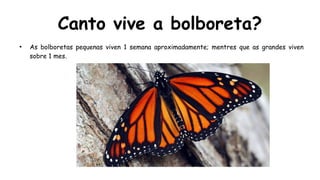 Canto vive a bolboreta?
●
As bolboretas pequenas viven 1 semana aproximadamente; mentres que as grandes viven
sobre 1 mes.
 