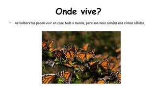 Onde vive?
●
As bolboretas poden vivir en case todo o mundo, pero son mais comúns nos climas cálidos.
 