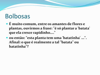 Frutas, Verduras e Outros em Inglês e Portugues, PDF, Plantas comestíveis