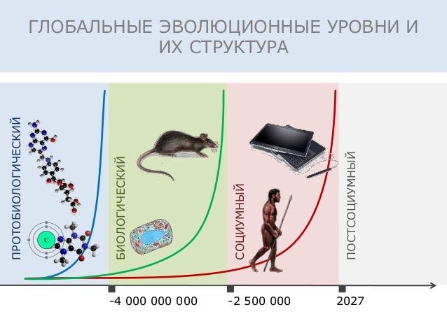 Глобальные моторные функции