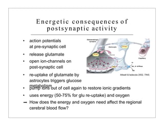Energetic consequences o f
postsynaptic activity
Attwell & Iadecola 2002, TINS.
• action potentials
at pre-synaptic cell
• release glutamate
• open ion-channels on
post-synaptic cell
• re-uptake of glutamate by
astrocytes triggers glucose
metabolism
➡
• pump ions out of cell again to restore ionic gradients
• uses energy (50-75% for glu re-uptake) and oxygen
How does the energy and oxygen need affect the regional
cerebral blood flow?
 