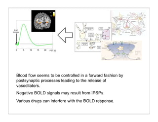 Blood flow seems to be controlled in a forward fashion by
postsynaptic processes leading to the release of
vasodilators.
Negative BOLD signals may result from IPSPs.
Various drugs can interfere with the BOLD response.
Brief
Stimulus
 