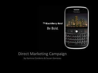 Direct Marketing Campaign by Karinna Cordeiro & Susan Garneau 