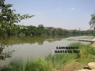 CAMINANDO HASTA EL RIO 