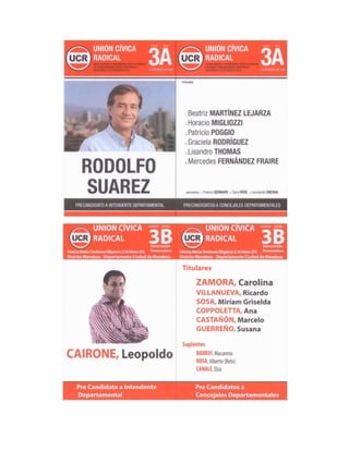Boletas PASO Ciudad de Mendoza elecciones 2015