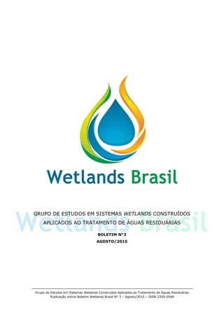 Grupo de Estudos em Sistemas Wetlands Construídos Aplicados ao Tratamento de Águas Residuárias
Publicação online Boletim Wetlands Brasil N° 3 – Agosto/2015 – ISSN 2359-0548
GRUPO DE ESTUDOS EM SISTEMAS WETLANDS CONSTRUÍDOS
APLICADOS AO TRATAMENTO DE ÁGUAS RESIDUÁRIAS
BOLETIM N°3
AGOSTO/2015
 